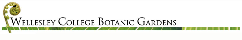 Botanic Gardens Logo